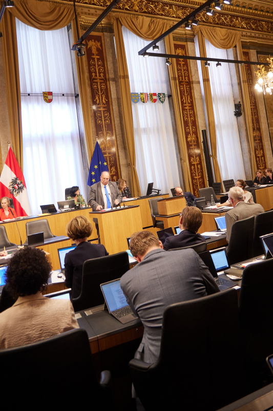 Am Rednerpult Bundesrat Michael Bernard (FPÖ)