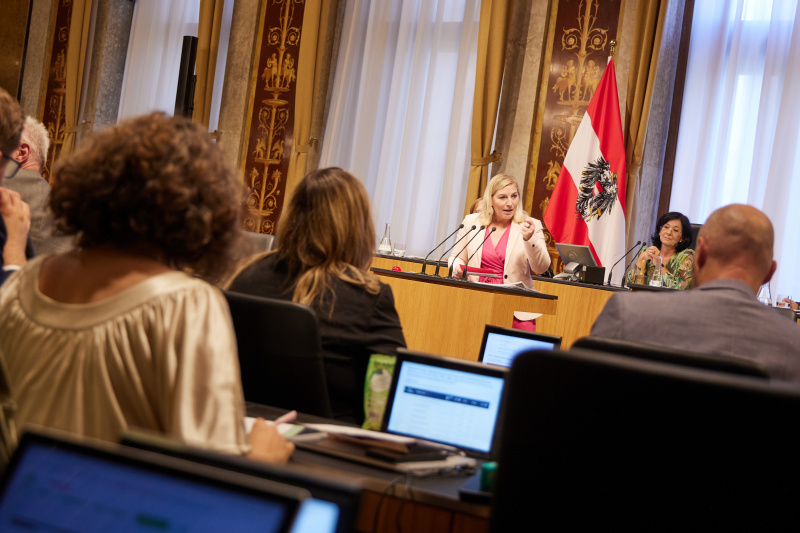Am Rednerpult Vizepräsidentin des Bundesrates Doris Hahn (SPÖ)