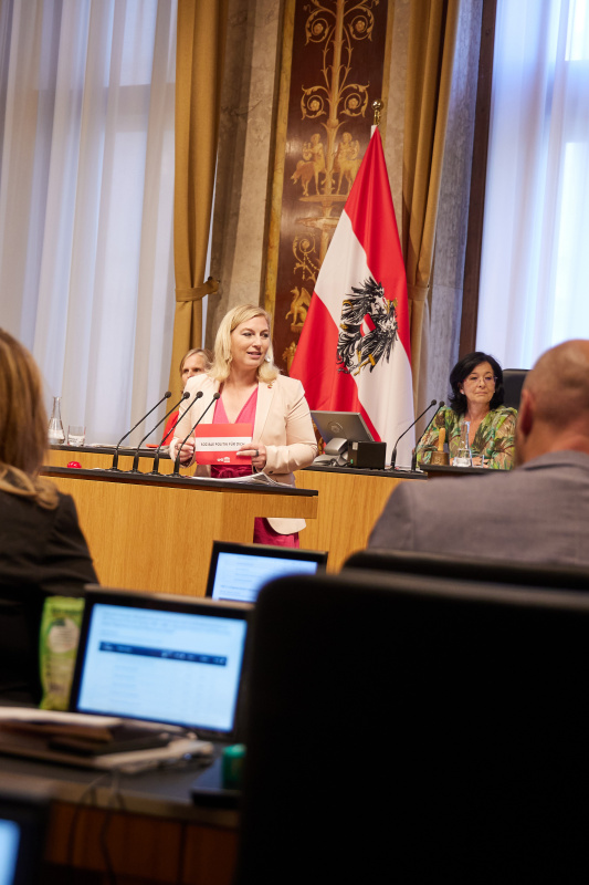 Am Rednerpult Vizepräsidentin des Bundesrates Doris Hahn (SPÖ)