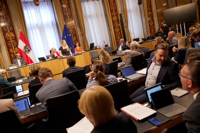 Am Rednerpult Bundesrätin Isabella Theuermann (FPÖ)