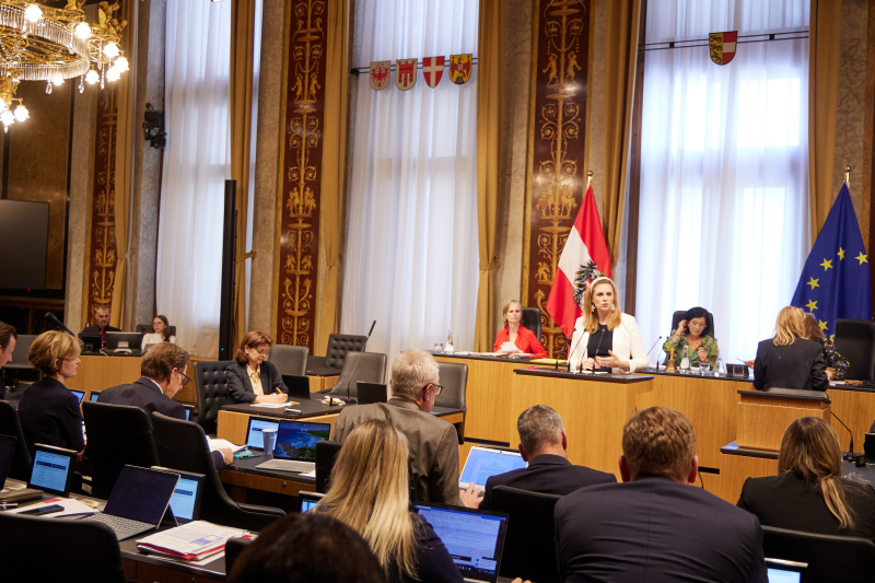 Am Rednerpult Bundesrätin Marlene Zeidler-Beck (ÖVP)