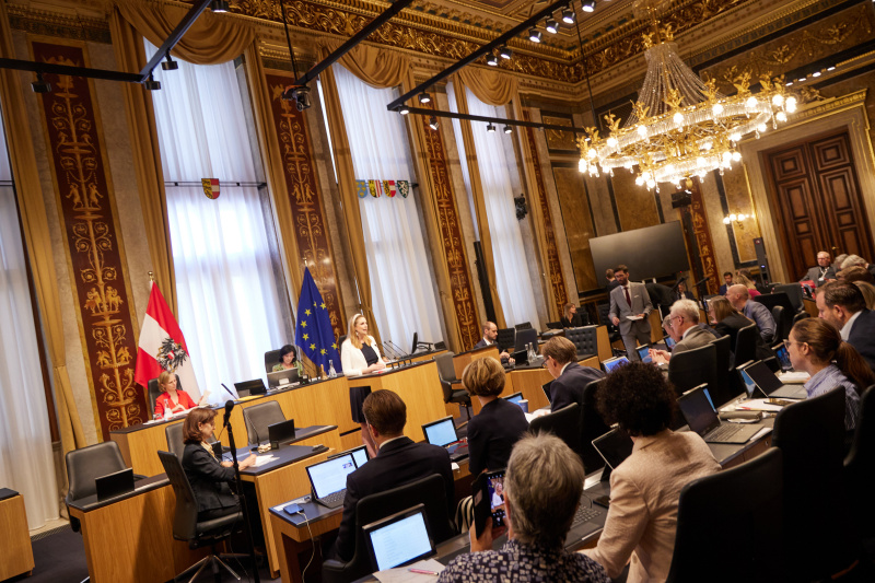 Am Rednerpult Bundesrätin Marlene Zeidler-Beck (ÖVP)