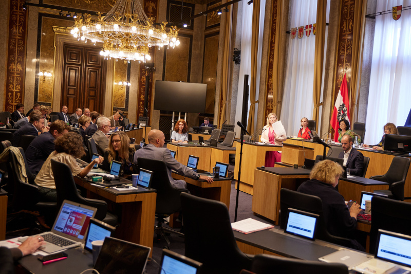 Am Rednerpult Vizepräsidentin des Bundesrates Doris Hahn (SPÖ)