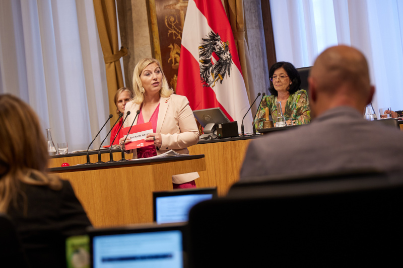 Am Rednerpult Vizepräsidentin des Bundesrates Doris Hahn (SPÖ)