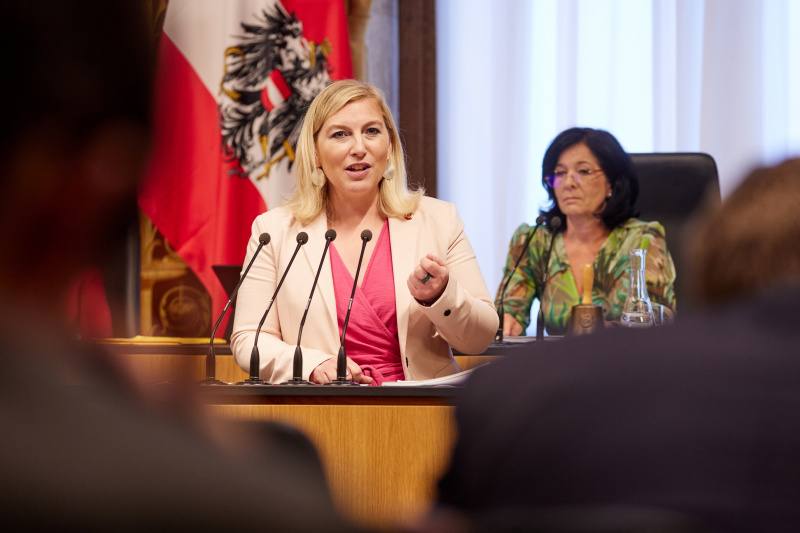 Am Rednerpult Vizepräsidentin des Bundesrates Doris Hahn (SPÖ)