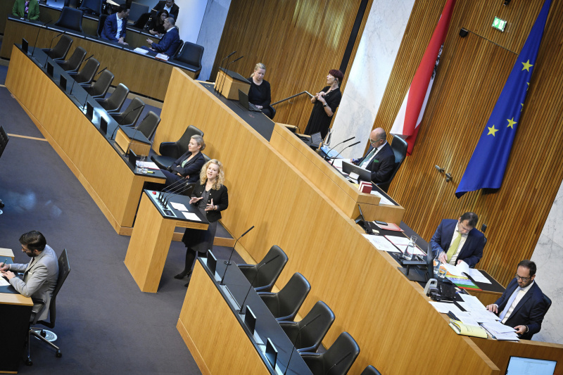 Am Rednerpult: Nationalratsabgeordnete Eva Maria Holzleitner (SPÖ)