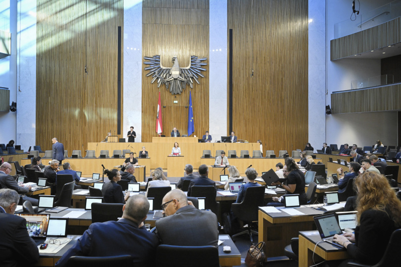 Blick Richtung Sitzungsteilnehmer:innen. Nationalratsabgeordnete Maria Theresia Niss (ÖVP) am Rednerpult