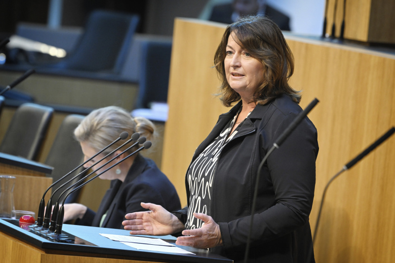 Am Rednerpult: Nationalratsabgeordnete Petra Wimmer (SPÖ)