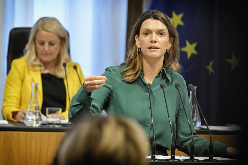 Am Rednerpult: Leiterin Momentum Institut Barbara Blaha