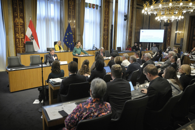 Am Rednerpult: Leiterin Momentum Institut Barbara Blaha. Blick Richtung Veranstaltungsteilnehmer:innen