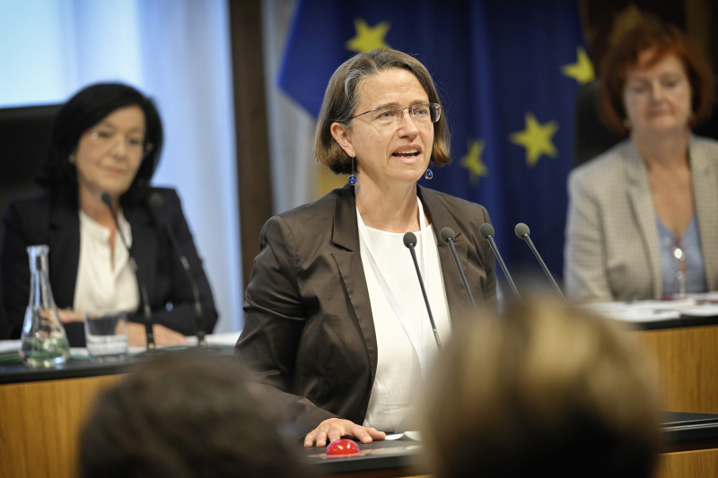 Am Rednerpult: Wissenschaftliche Leiterin im Charlotte Bühler Institut für praxisorientierte Kleinkindforschung Michaela Hajszan