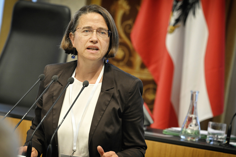 Am Rednerpult: Wissenschaftliche Leiterin im Charlotte Bühler Institut für praxisorientierte Kleinkindforschung Michaela Hajszan