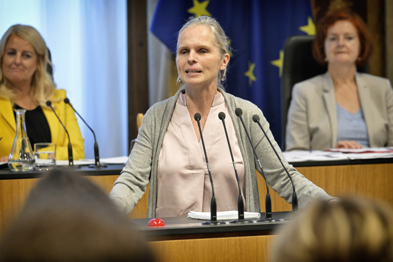 Am Rednerpult: Bundesrätin Daniela Gruber-Pruner (SPÖ)