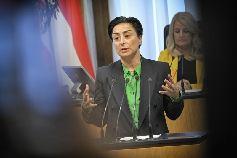 Am Rednerpult: AK-Expertin Ilkim Erdost