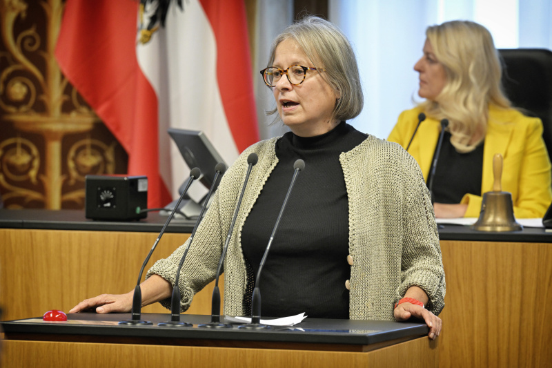 Am Rednerpult: Bundesrätin Bettina Lancaster (SPÖ)