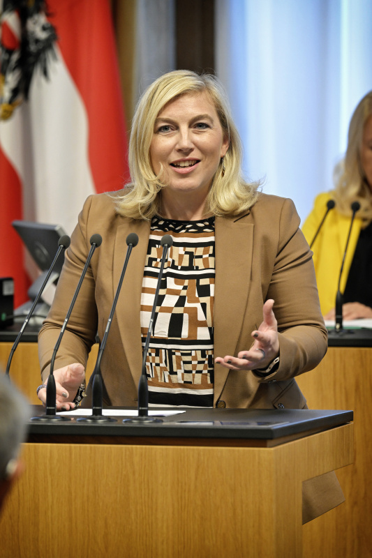 Am Rednerpult: Bundesratsvizepräsidentin Doris Hahn (SPÖ)