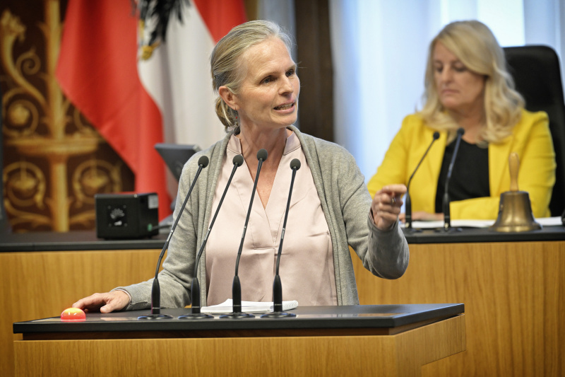 Am Rednerpult: Bundesrätin Daniela Gruber-Pruner (SPÖ)