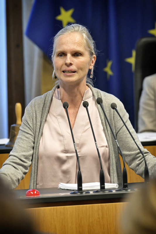 Am Rednerpult: Bundesrätin Daniela Gruber-Pruner (SPÖ)