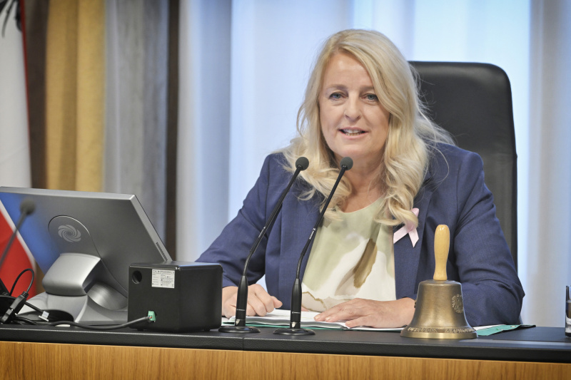 Bundesratspräsidentin Claudia Arpa (SPÖ) am Präsidium