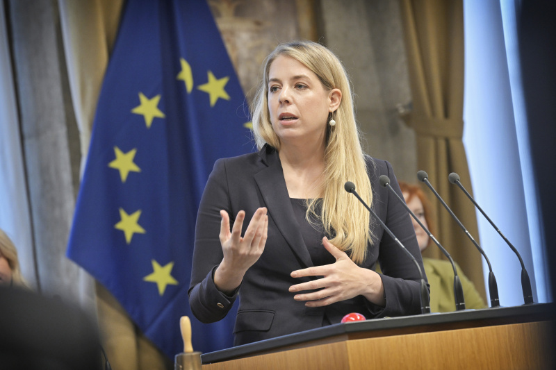 Am Rednerpult: Bundesrätin Isabella Theuermann (FPÖ)