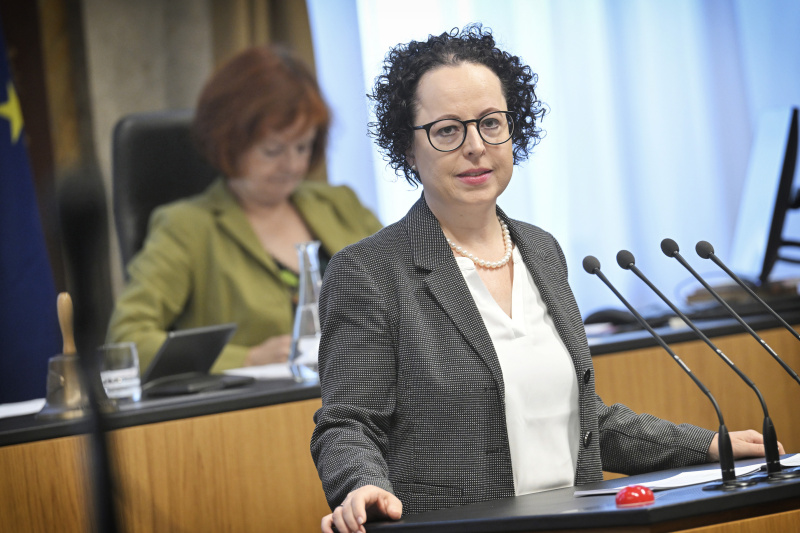 Am Rednerpult: Bundesrätin Christine Schwarz-Fuchs (ÖVP)