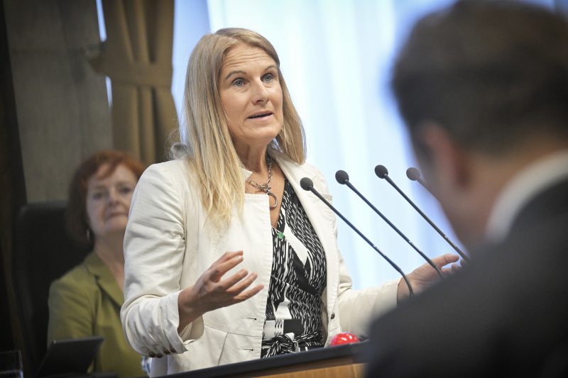 Am Rednerpult: Bundesrätin Elisabeth Grossmann (SPÖ)