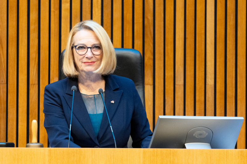 Zweite Nationalratspräsidentin Doris Bures (SPÖ) am Präsidium