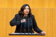 Nationalratsabgeordnete Selma Yildirim (SPÖ) am Rednerpult