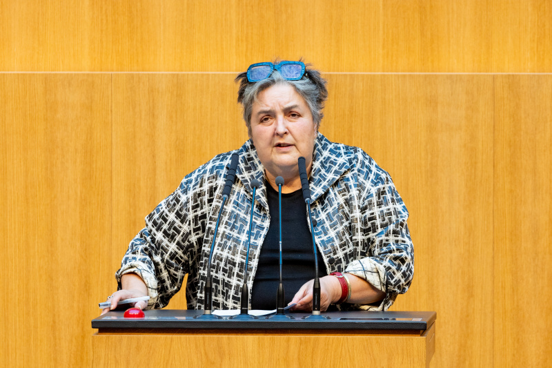 Nationalratsabgeordnete Eva Blimlinger (GRÜNE) am Rednerpult