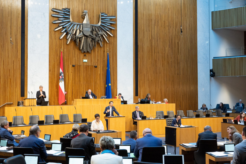 Blick Richtung Sitzungsteilnehmer:innen. Nationalratsabgeordneter Jakob Schwarz (GRÜNE) am Rednerpult