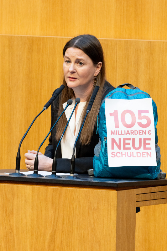 Nationalratsabgeordnete Karin Doppelbauer (NEOS) am Rednerpult