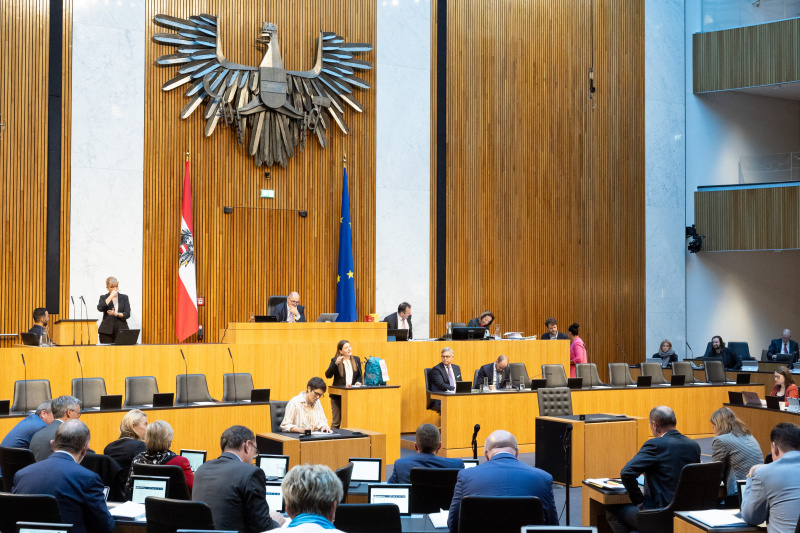 Blick Richtung Sitzungsteilnehmer:innen. Nationalratsabgeordnete Karin Doppelbauer (NEOS) am Rednerpult