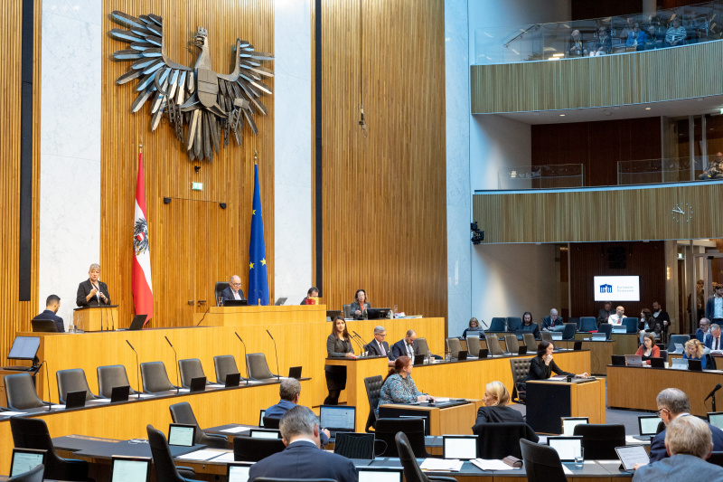 Blick Richtung Sitzungsteilnehmer:innen. Nationalratsabgeordnete Meri Disoski (GRÜNE) am Rednerpult