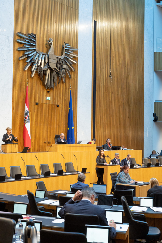 Blick Richtung Sitzungsteilnehmer:innen. Nationalratsabgeordnete Meri Disoski (GRÜNE) am Rednerpult