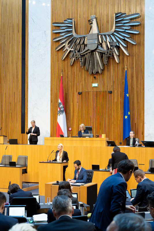 Blick Richtung Sitzungsteilnehmer:innen. Nationalratsabgeordnete Juliane Bogner-Strauß (ÖVP) am Rednerpult