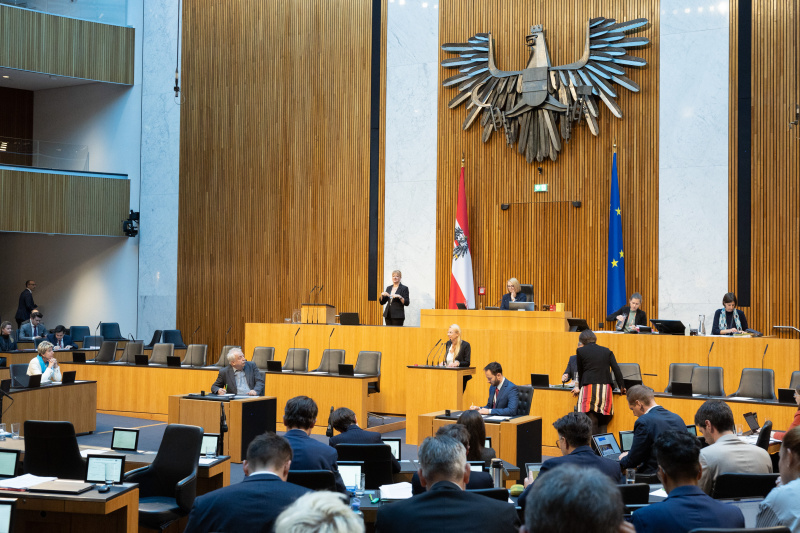 Blick Richtung Sitzungsteilnehmer:innen. Nationalratsabgeordnete Juliane Bogner-Strauß (ÖVP) am Rednerpult