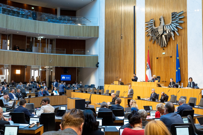 Blick Richtung Sitzungsteilnehmer:innen. Nationalratsabgeordnete Agnes Sirkka Prammer (GRÜNE) am Rednerpult