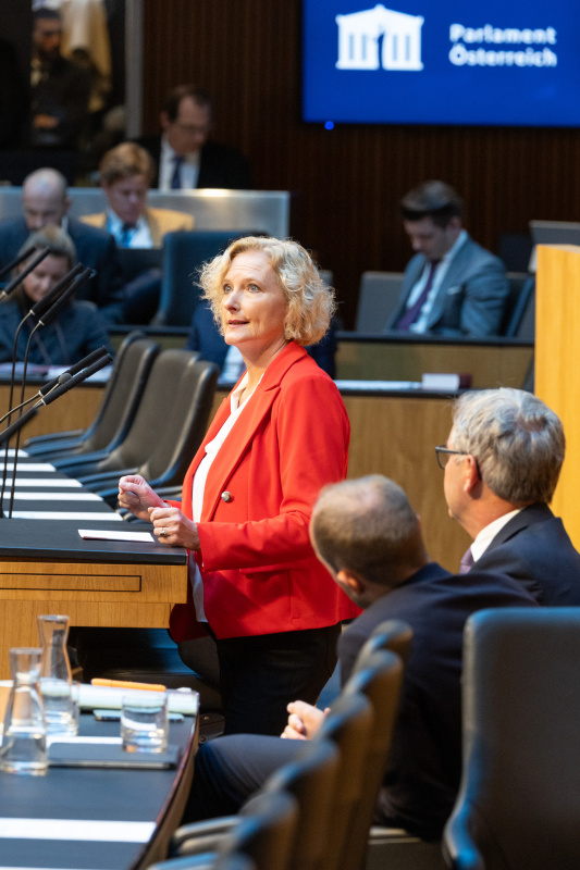 Nationalratsabgeordnete Karin Greiner (SPÖ) am Rednerpult