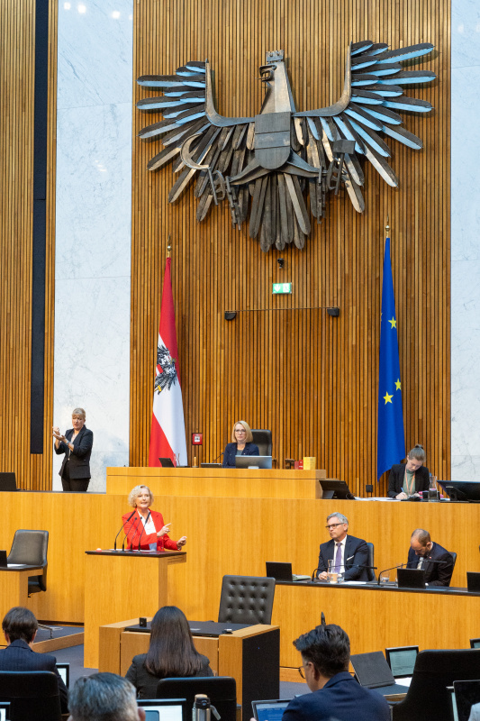 Blick Richtung Sitzungsteilnehmer:innen. Nationalratsabgeordnete Karin Greiner (SPÖ) am Rednerpult
