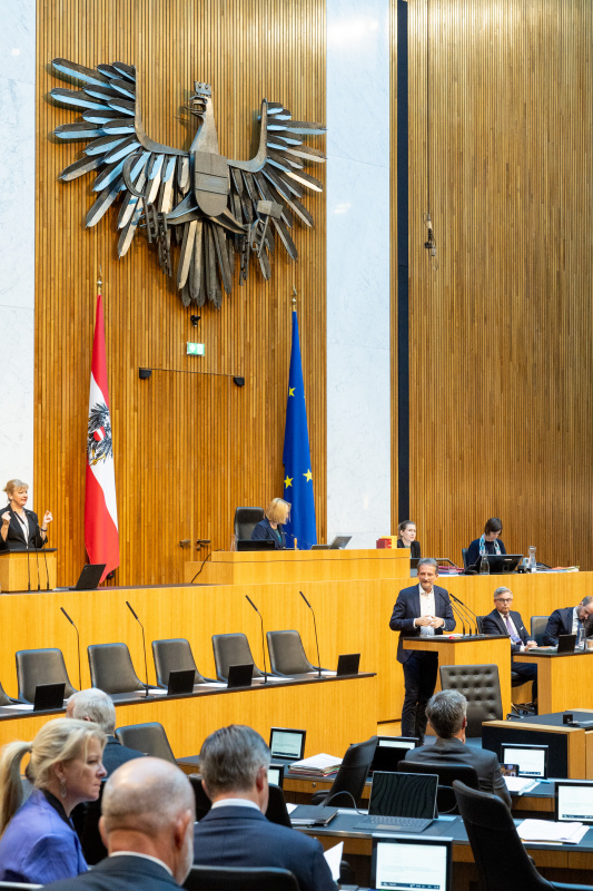 Blick Richtung Sitzungsteilnehmer:innen. Nationalratsabgeordneter Hermann Weratschnig (GRÜNE) am Rednerpult