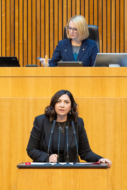 Nationalratsabgeordnete Selma Yildirim (SPÖ) am Rednerpult