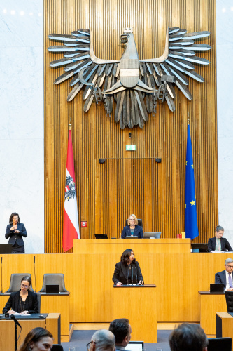 Blick Richtung Sitzungsteilnehmer:innen. Nationalratsabgeordnete Selma Yildirim (SPÖ) am Rednerpult