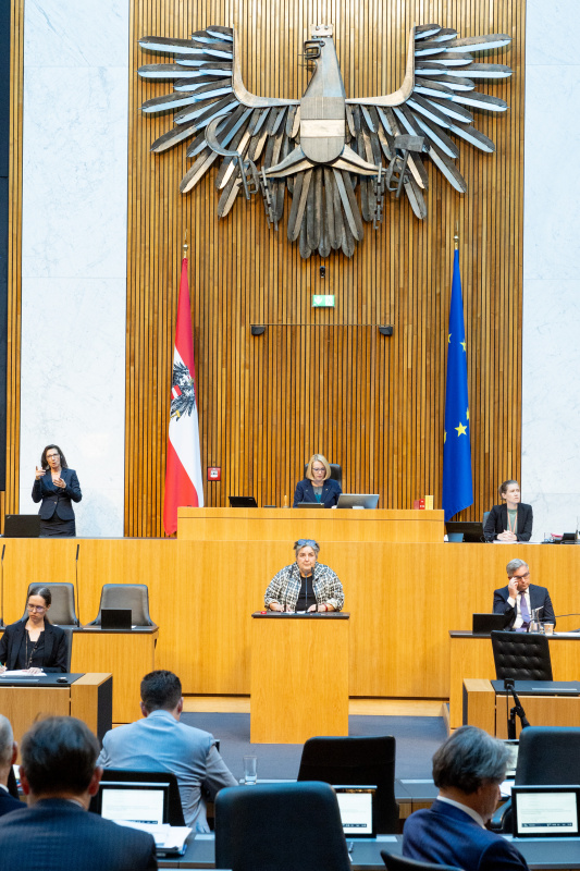 Blick Richtung Sitzungsteilnehmer:innen. Nationalratsabgeordnete Eva Blimlinger (GRÜNE) am Rednerpult
