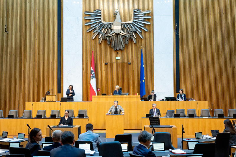 Blick Richtung Sitzungsteilnehmer:innen. Nationalratsabgeordnete Eva Blimlinger (GRÜNE) am Rednerpult