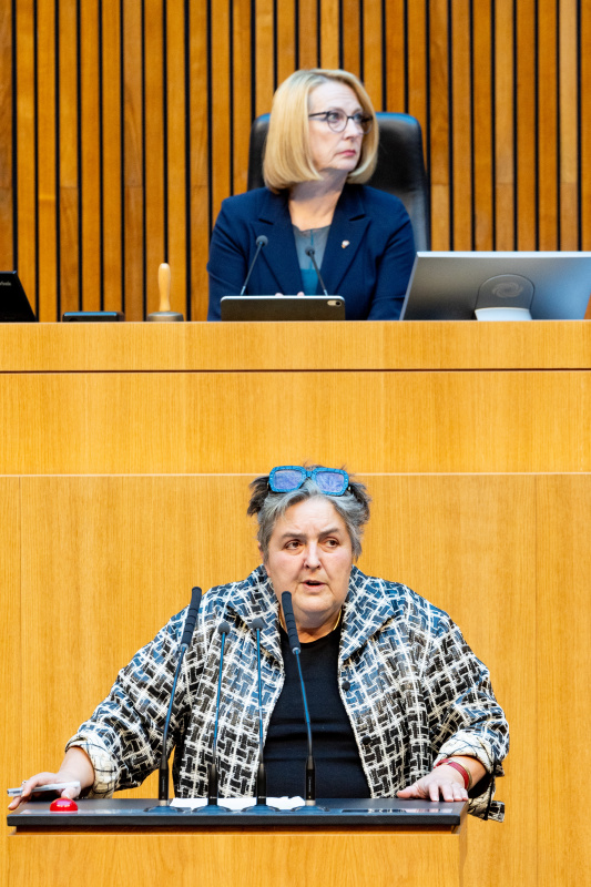 Nationalratsabgeordnete Eva Blimlinger (GRÜNE) am Rednerpult