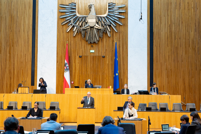 Blick Richtung Sitzungsteilnehmer:innen. Nationalratsabgeordneter Christoph Matznetter (SPÖ) am Rednerpult