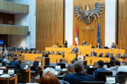 Blick Richtung Sitzungsteilnehmer:innen. Nationalratsabgeordneter Philipp Schrangl (FPÖ) am Rednerpult