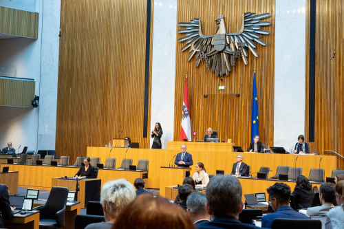 Blick Richtung Sitzungsteilnehmer:innen. Nationalratsabgeordneter Karlheinz Kopf (ÖVP) am Rednerpult