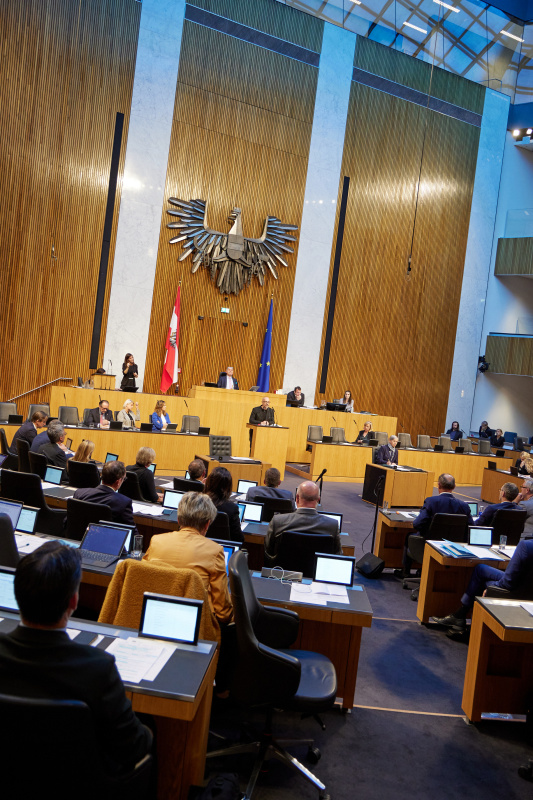Am Rednerpult Nationalratsabgeordneter Michel Reimon (GRÜNE)