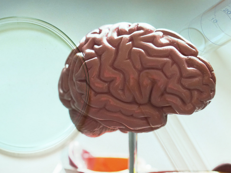 Modell eines Gehirns, überblendet mit Labor-Utensilien